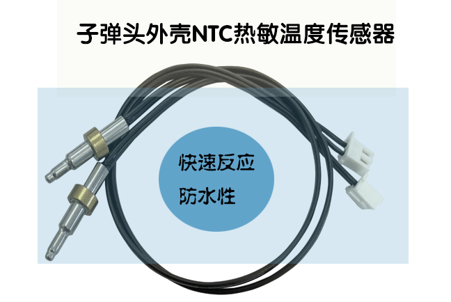 1543282379315494.jpg 子彈頭.jpg