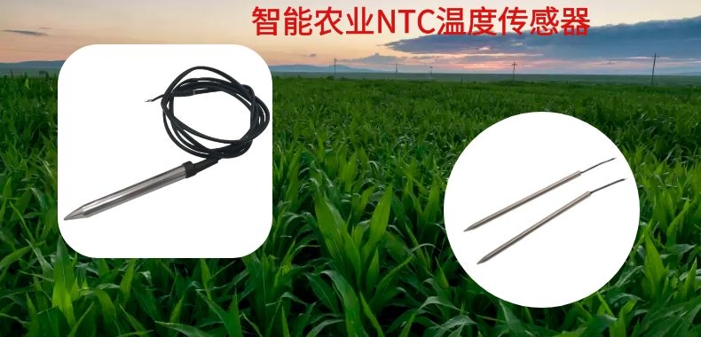 1605659427765943.jpg 圖怪獸_d5de8b70da54aeb92a429af40a0589eb_40102.jpg