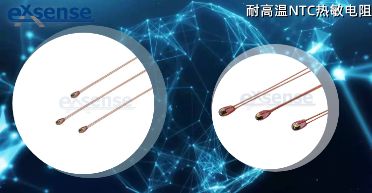1657091872989439.png 單端玻封熱敏電阻_.png